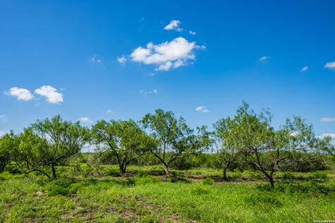 Tbd State Highway 16 Freer TX 78357