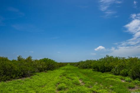 Tbd State Highway 16 Freer TX 78357