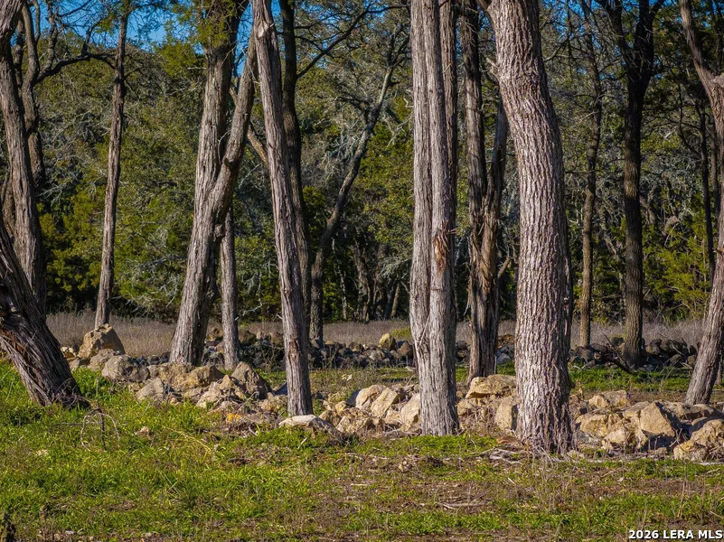 000 Hueco Springs Loop Road New Braunfels TX 78132