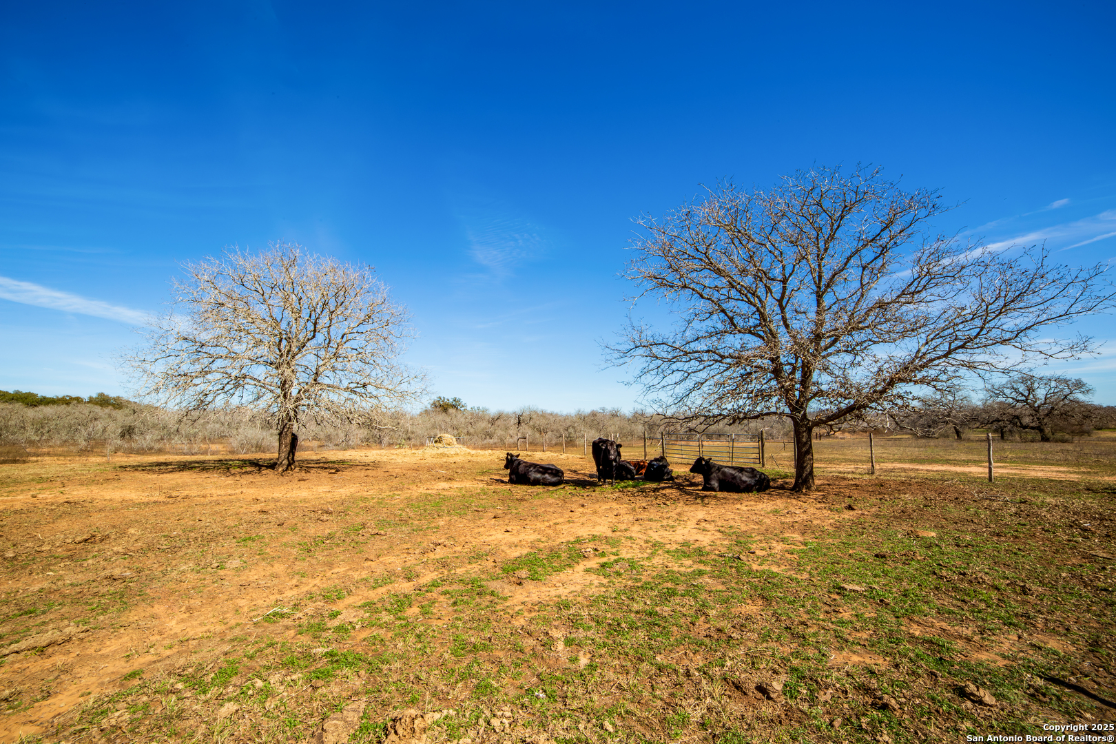 762 Cr 108 Floresville TX 78114