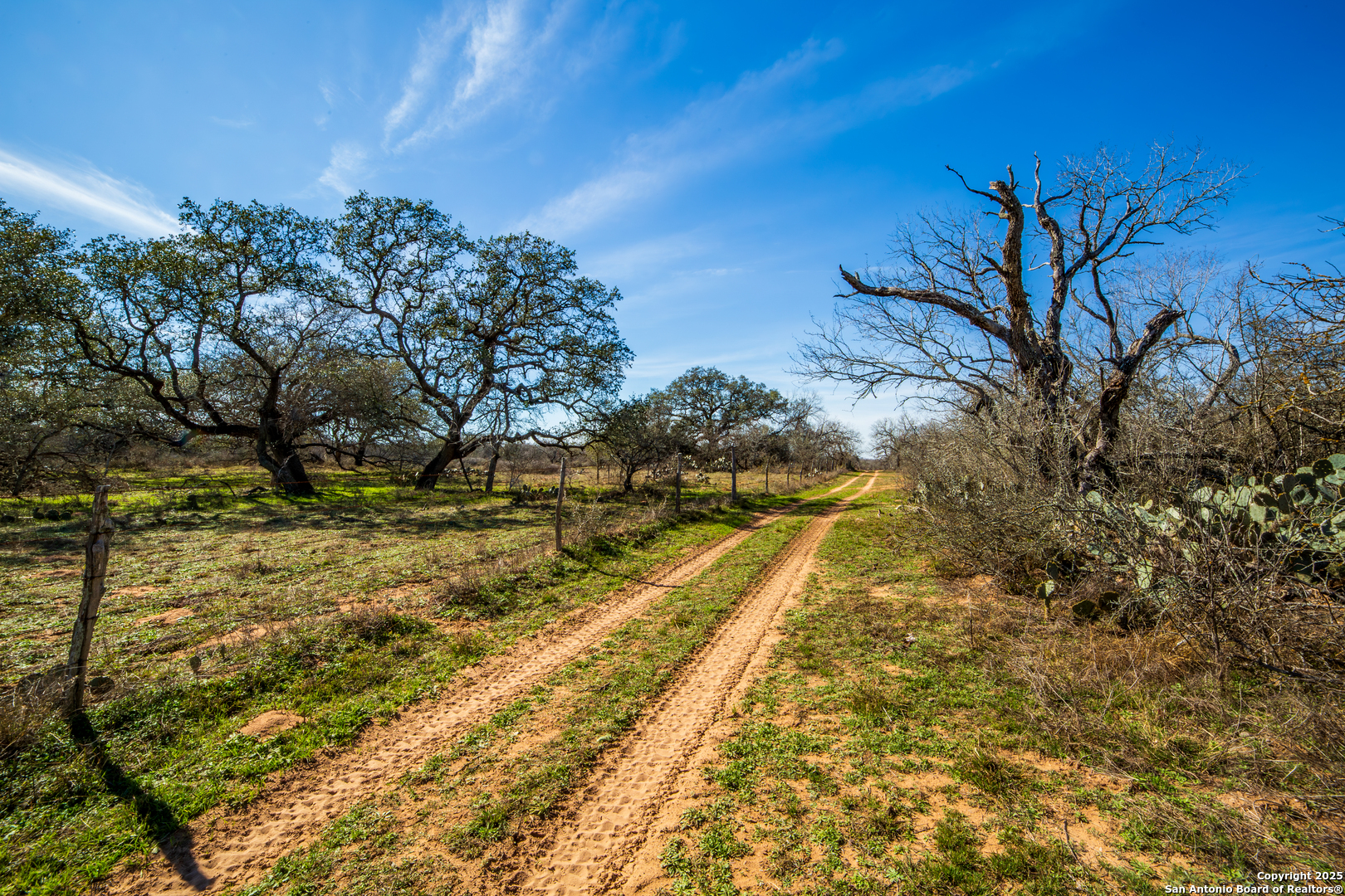 762 Cr 108 Floresville TX 78114
