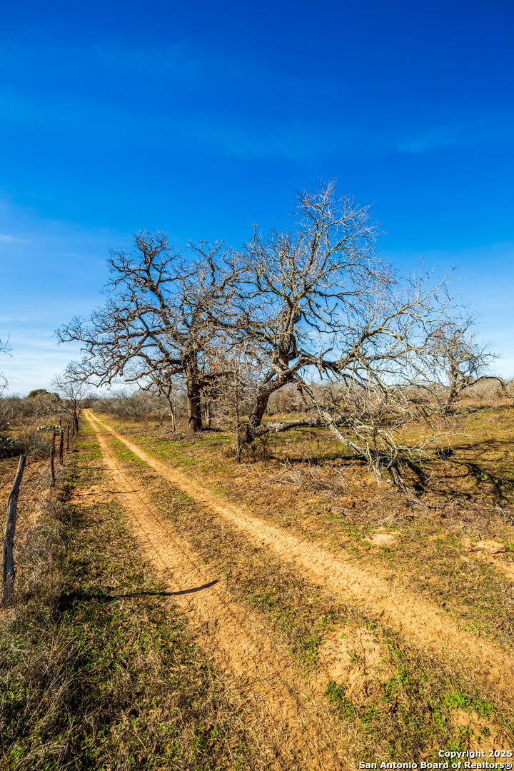 762 Cr 108 Floresville TX 78114
