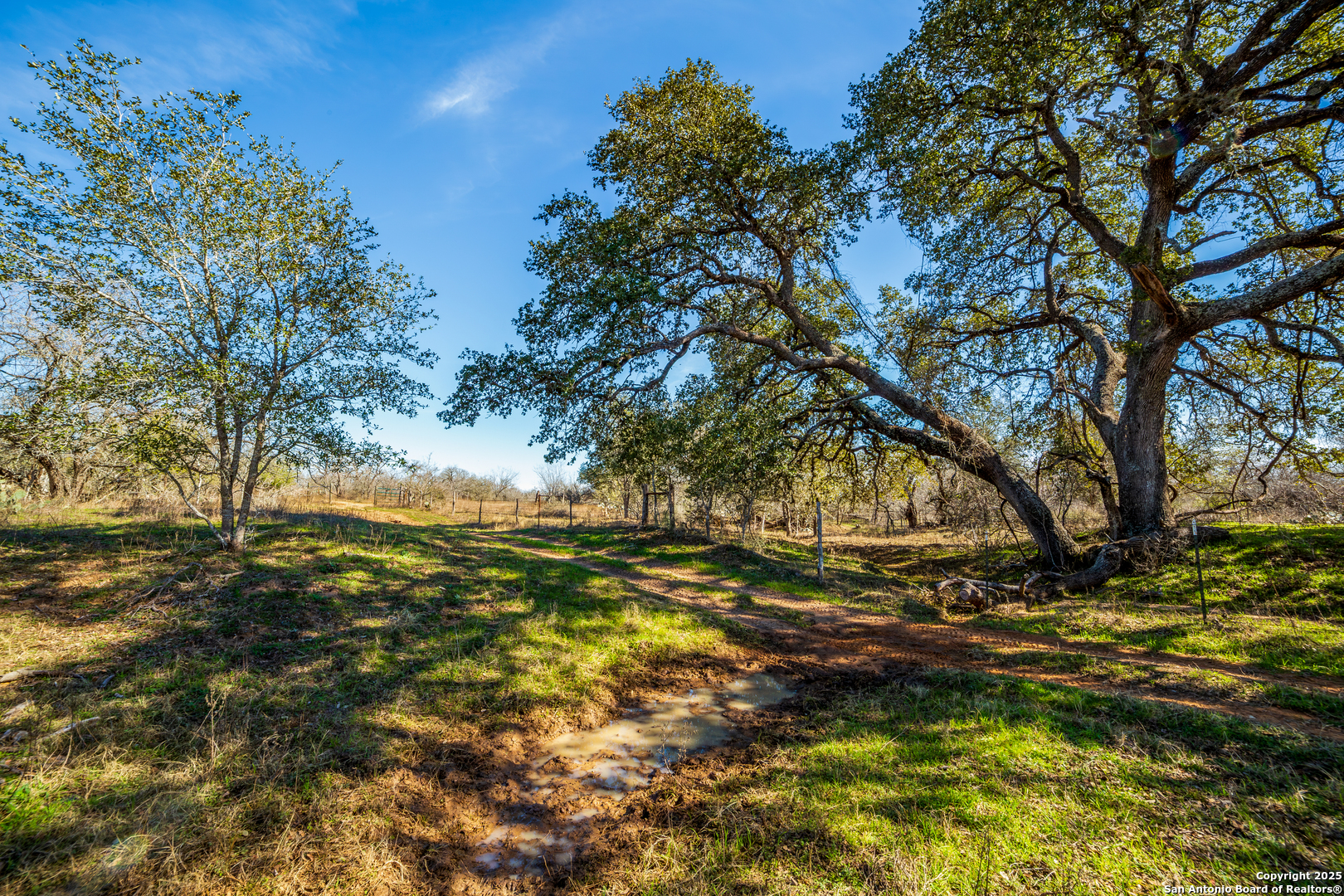 762 Cr 108 Floresville TX 78114