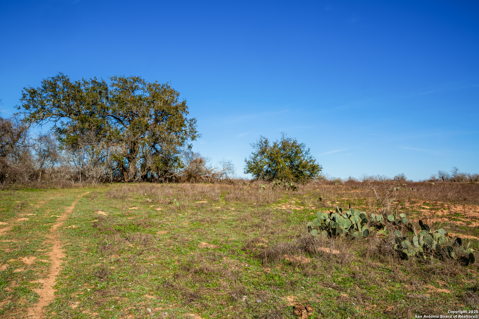 762 Cr 108 Floresville TX 78114