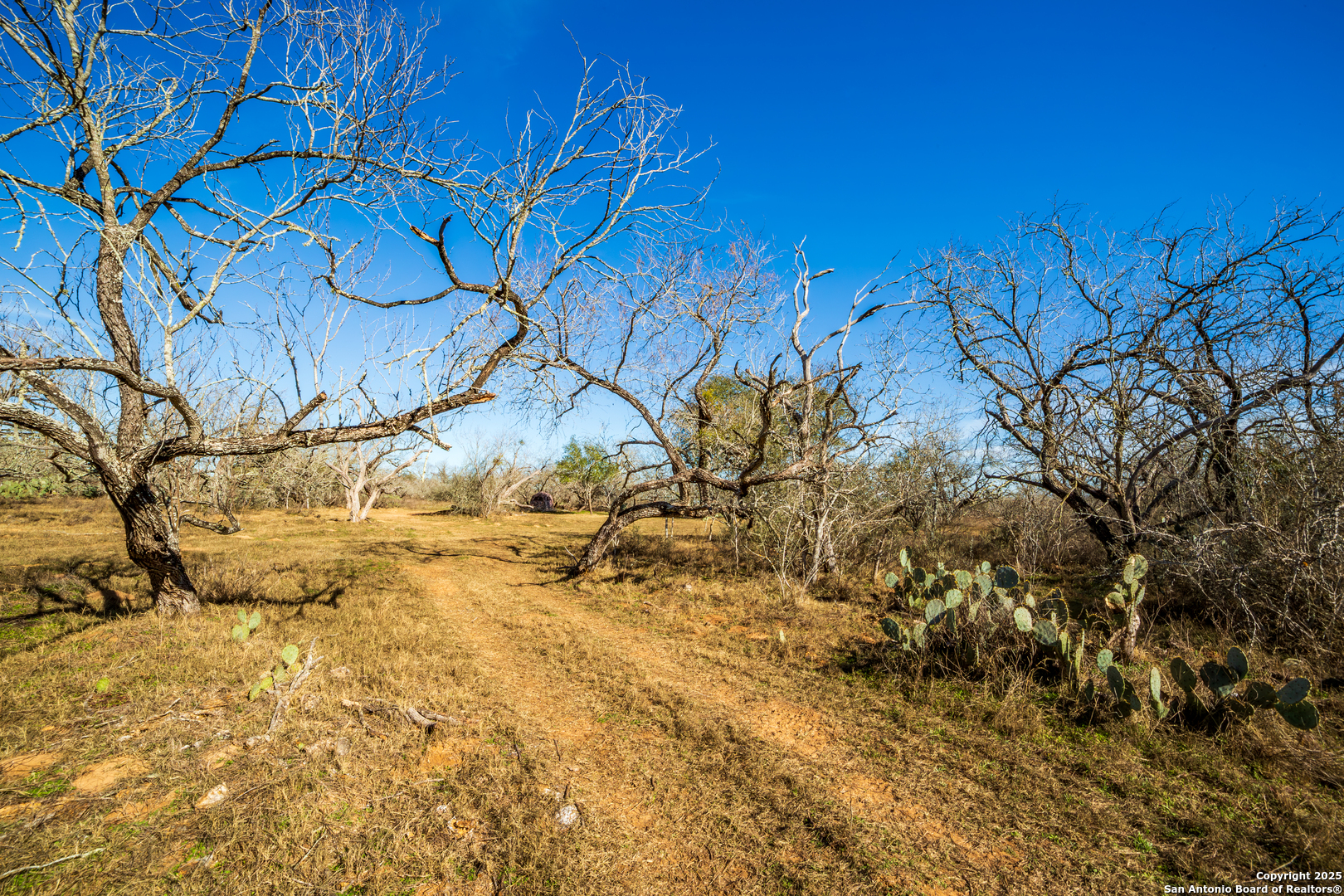 762 Cr 108 Floresville TX 78114