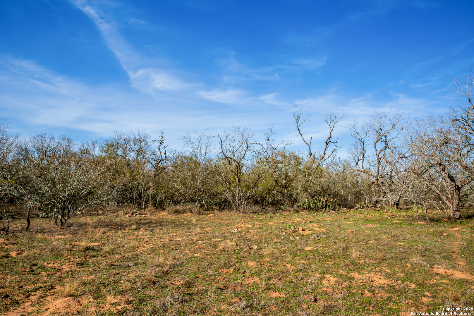 762 Cr 108 Floresville TX 78114