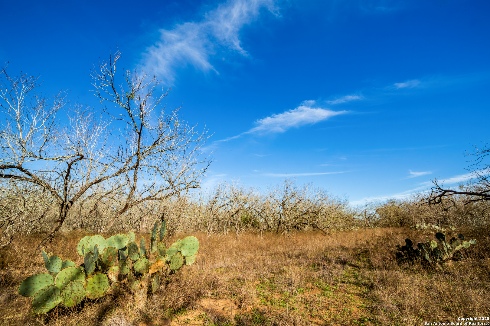 762 Cr 108 Floresville TX 78114