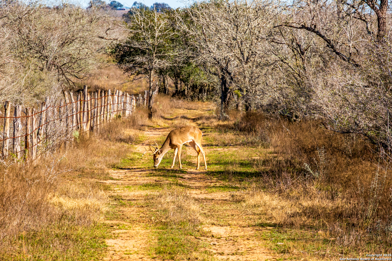 762 Cr 108 Floresville TX 78114