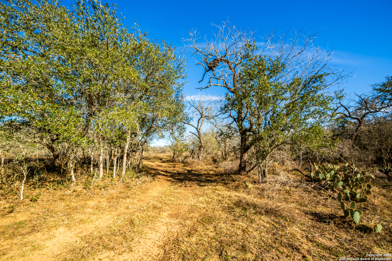 762 Cr 108 Floresville TX 78114