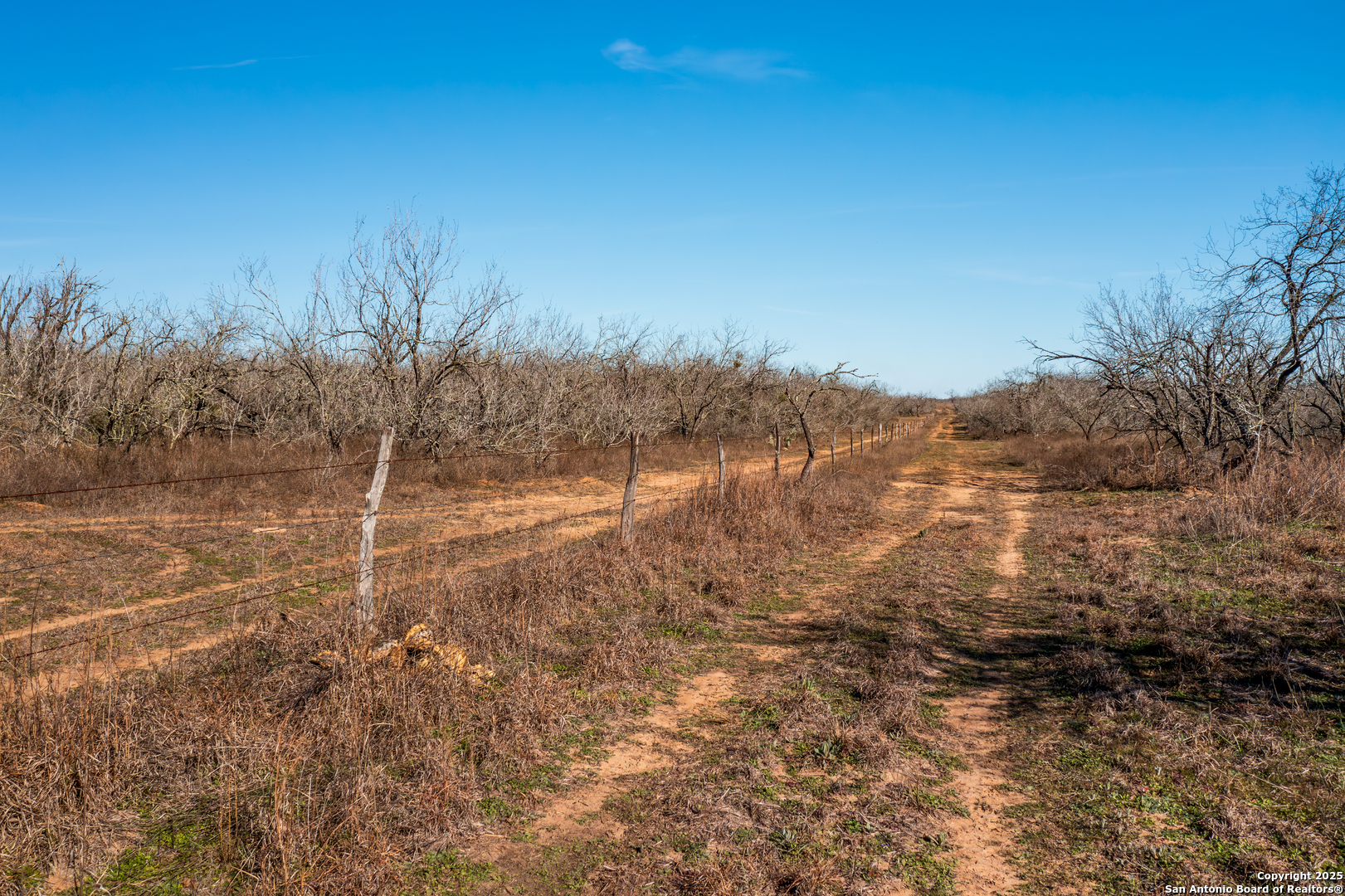 762 Cr 108 Floresville TX 78114