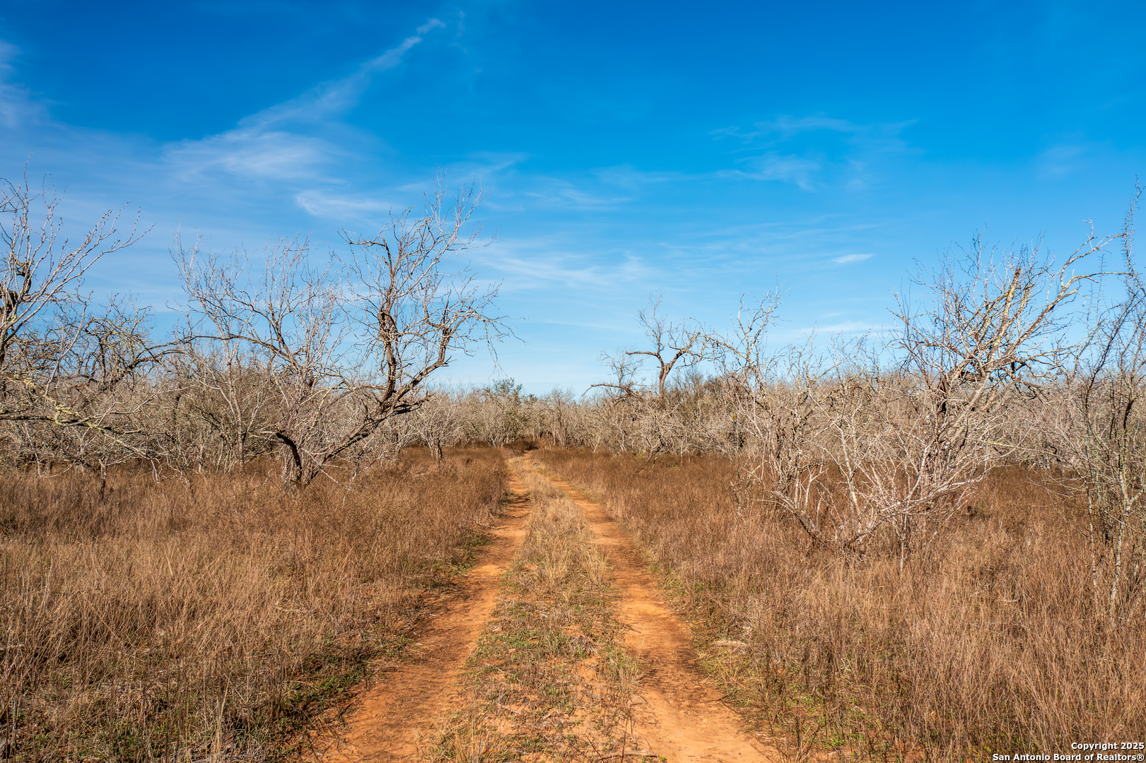 762 Cr 108 Floresville TX 78114