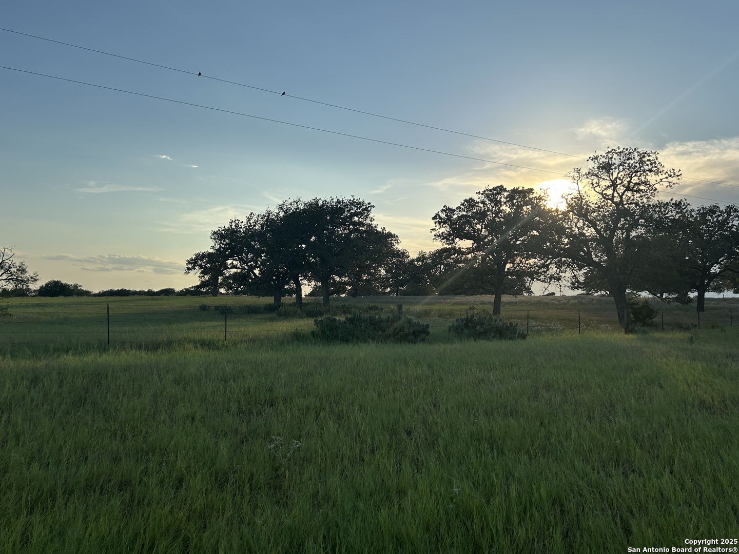1571 Street Highway 97 E Floresville TX 78114
