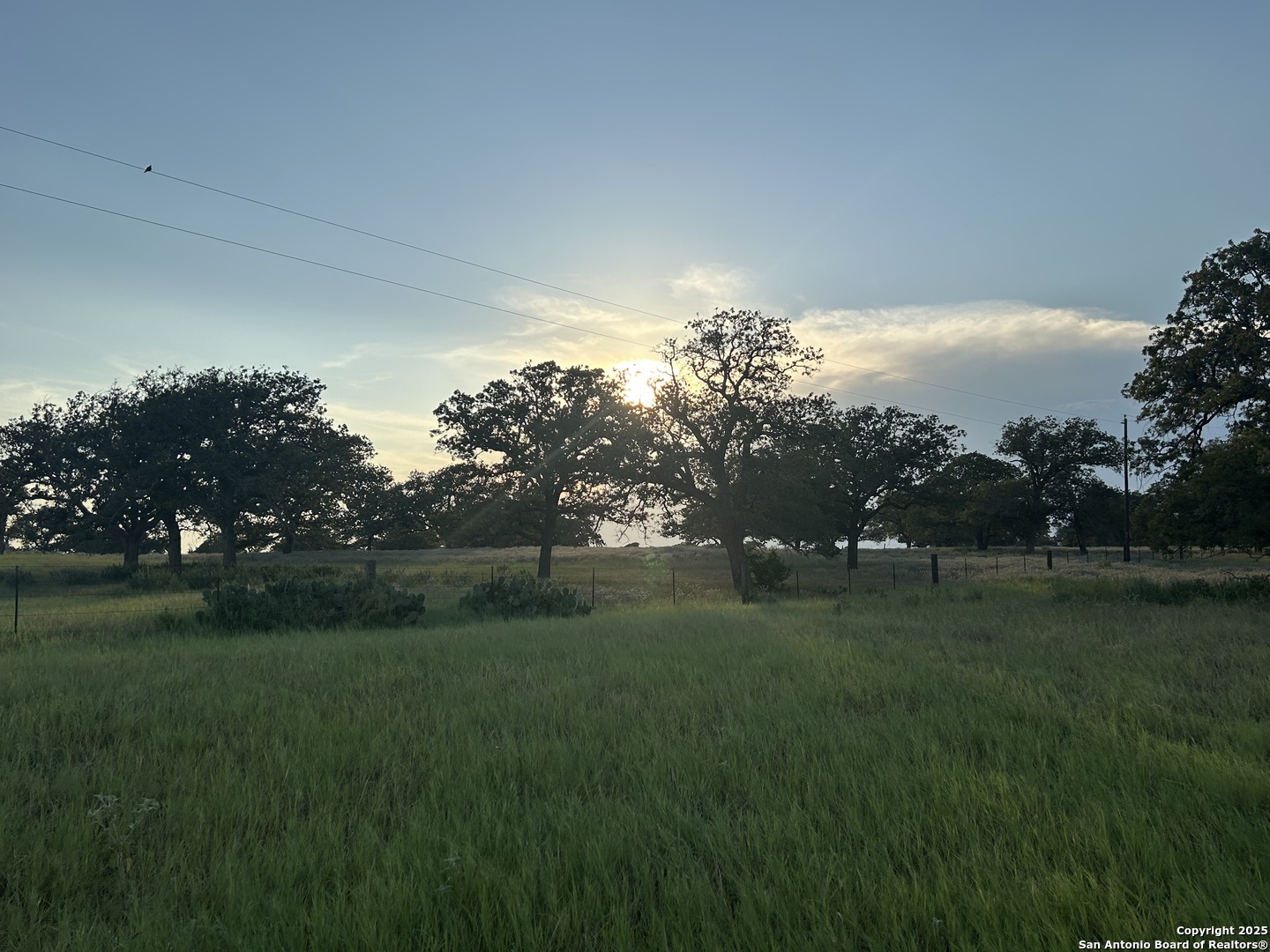1571 Street Highway 97 E Floresville TX 78114