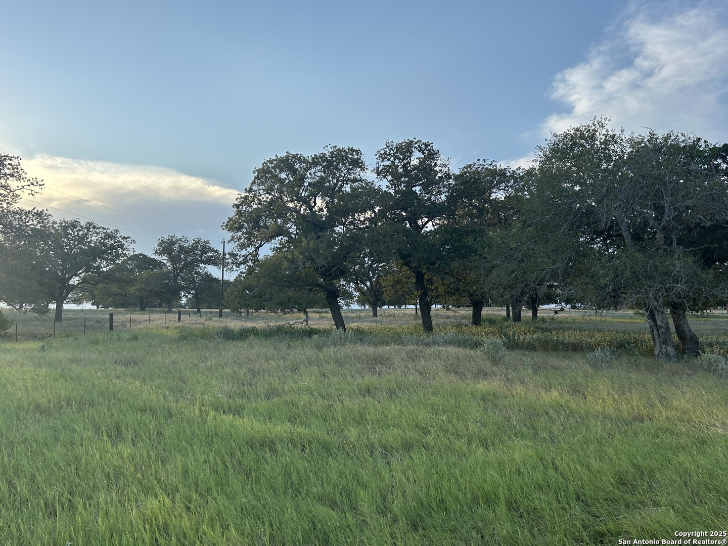 1571 Street Highway 97 E Floresville TX 78114