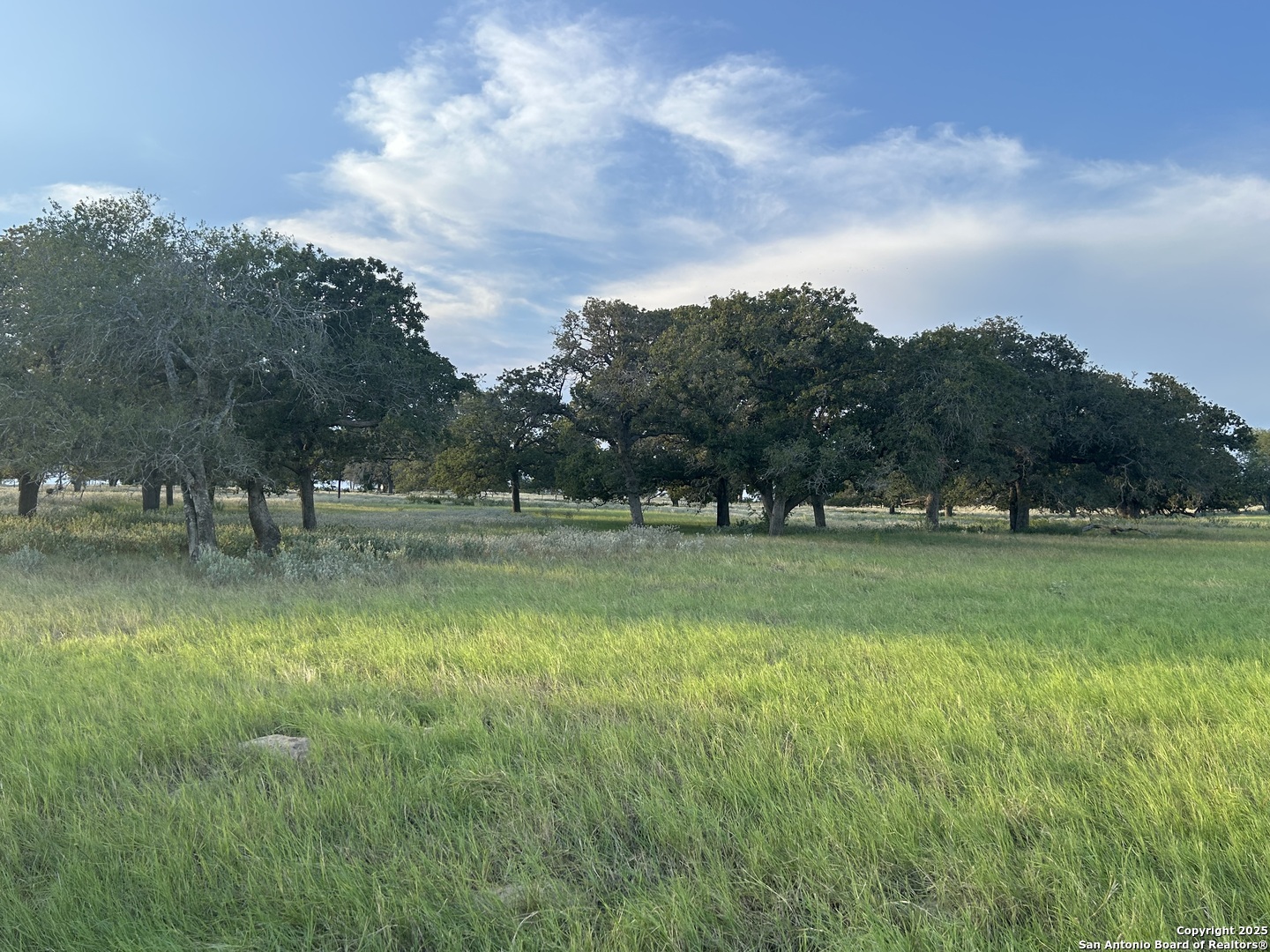 1571 Street Highway 97 E Floresville TX 78114