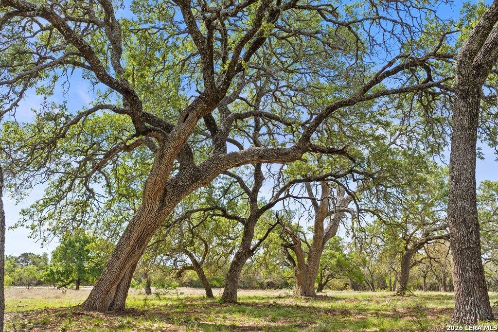 4772-10 County Road 340 Burnet TX 76905