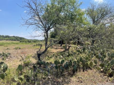 3505 County Road 476 Nixon TX 78140
