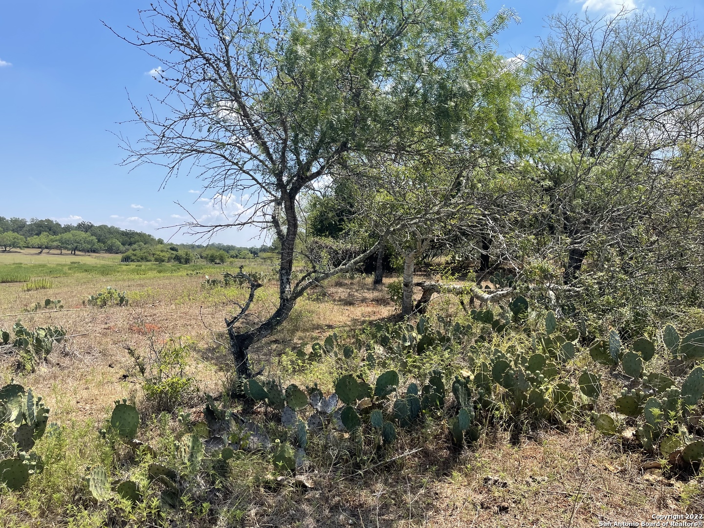 3505 County Road 476 Nixon TX 78140