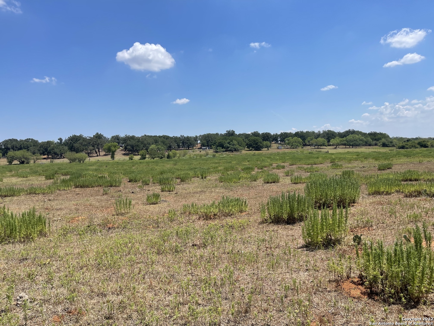 3505 County Road 476 Nixon TX 78140