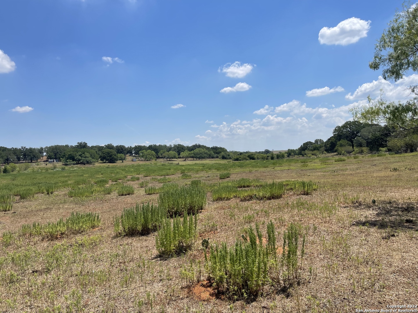 3505 County Road 476 Nixon TX 78140