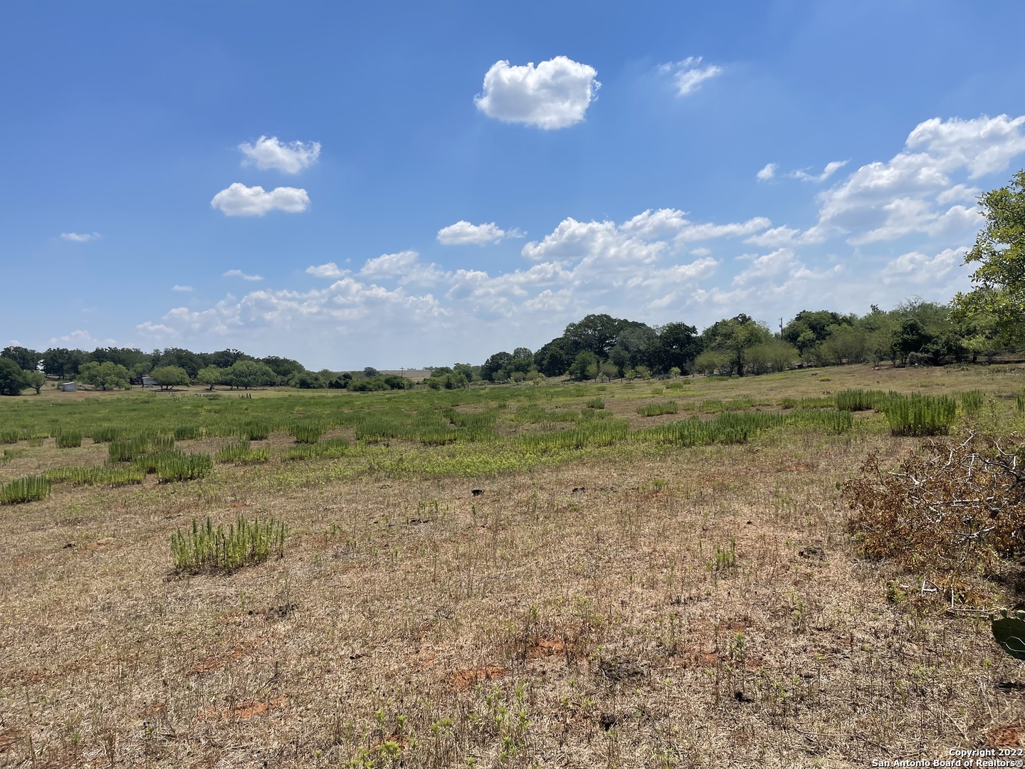 3505 County Road 476 Nixon TX 78140