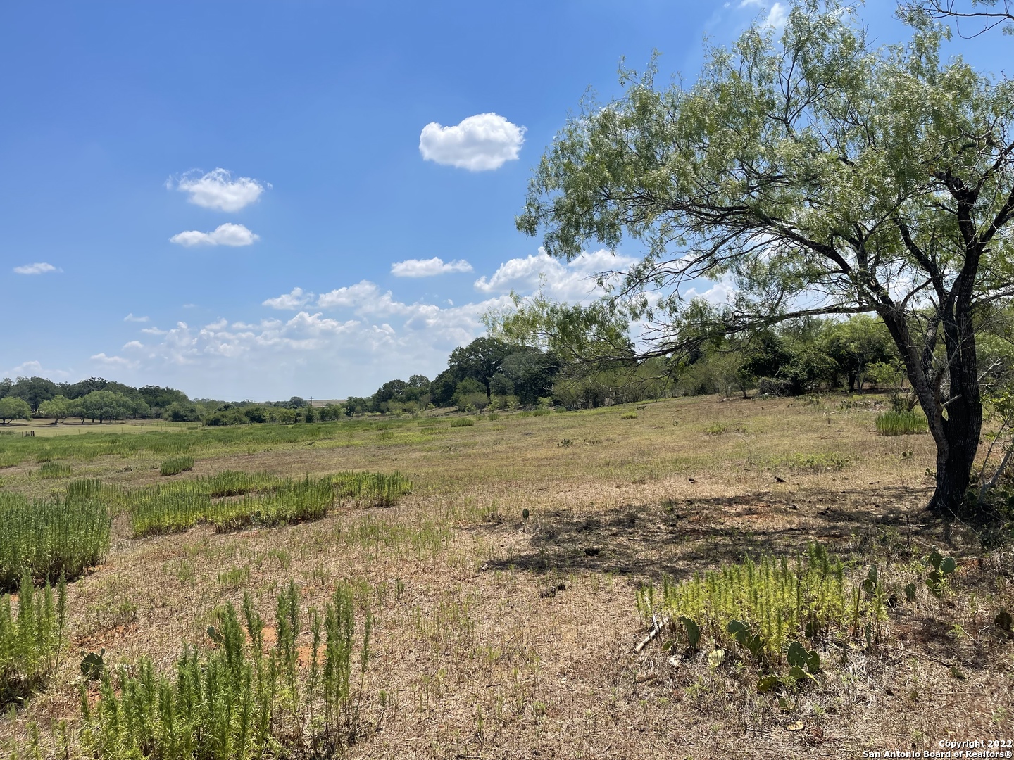3505 County Road 476 Nixon TX 78140