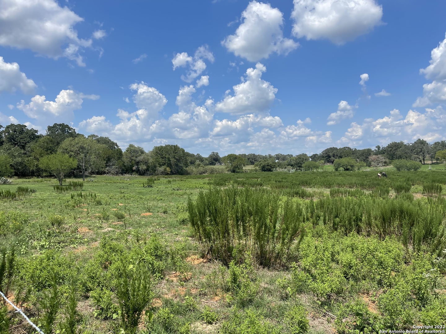 3505 County Road 476 Nixon TX 78140