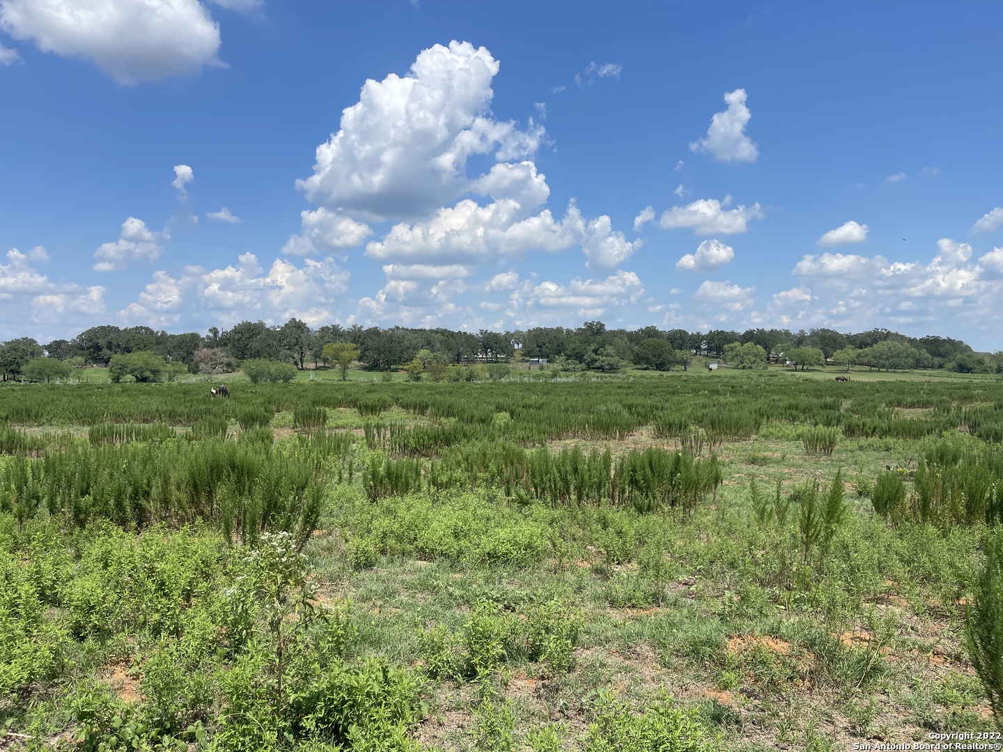 3505 County Road 476 Nixon TX 78140