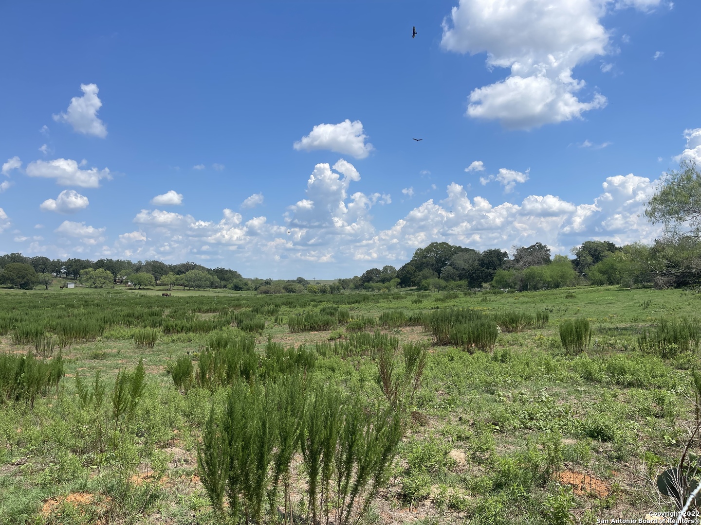 3505 County Road 476 Nixon TX 78140