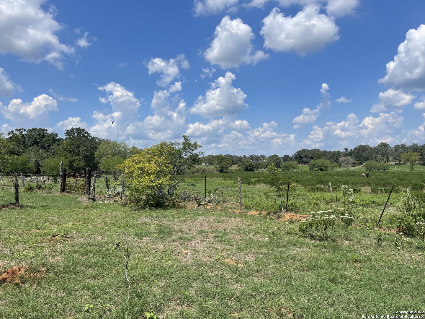 3505 County Road 476 Nixon TX 78140