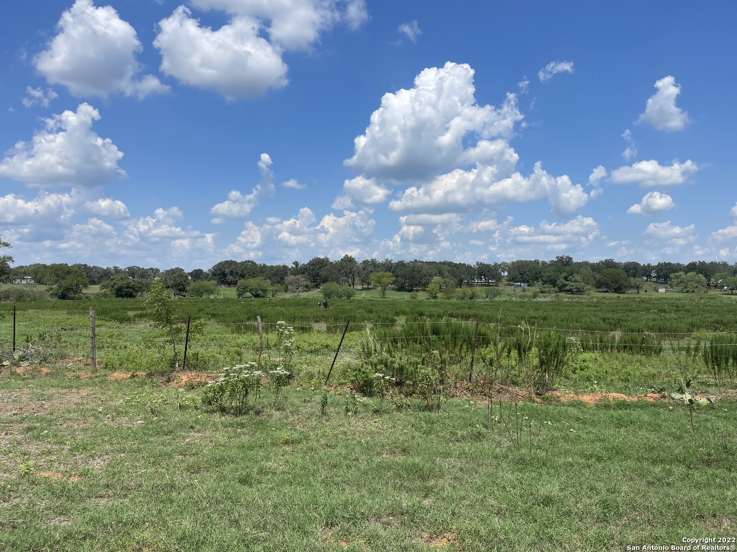 3505 County Road 476 Nixon TX 78140