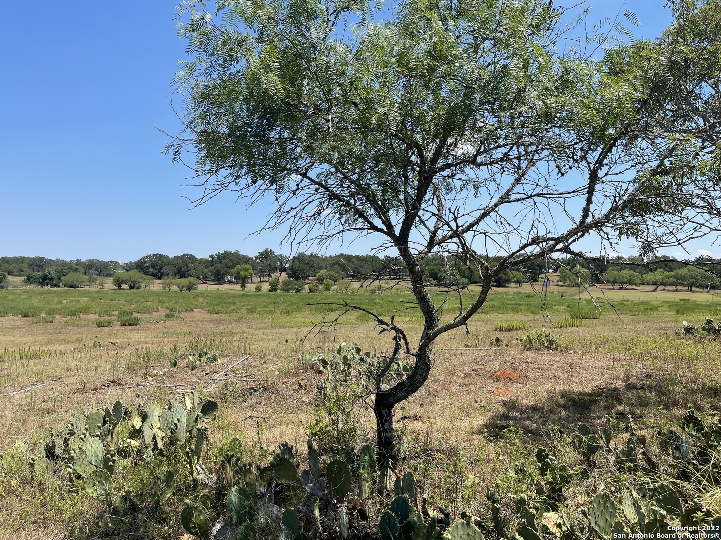 3505 County Road 476 Nixon TX 78140