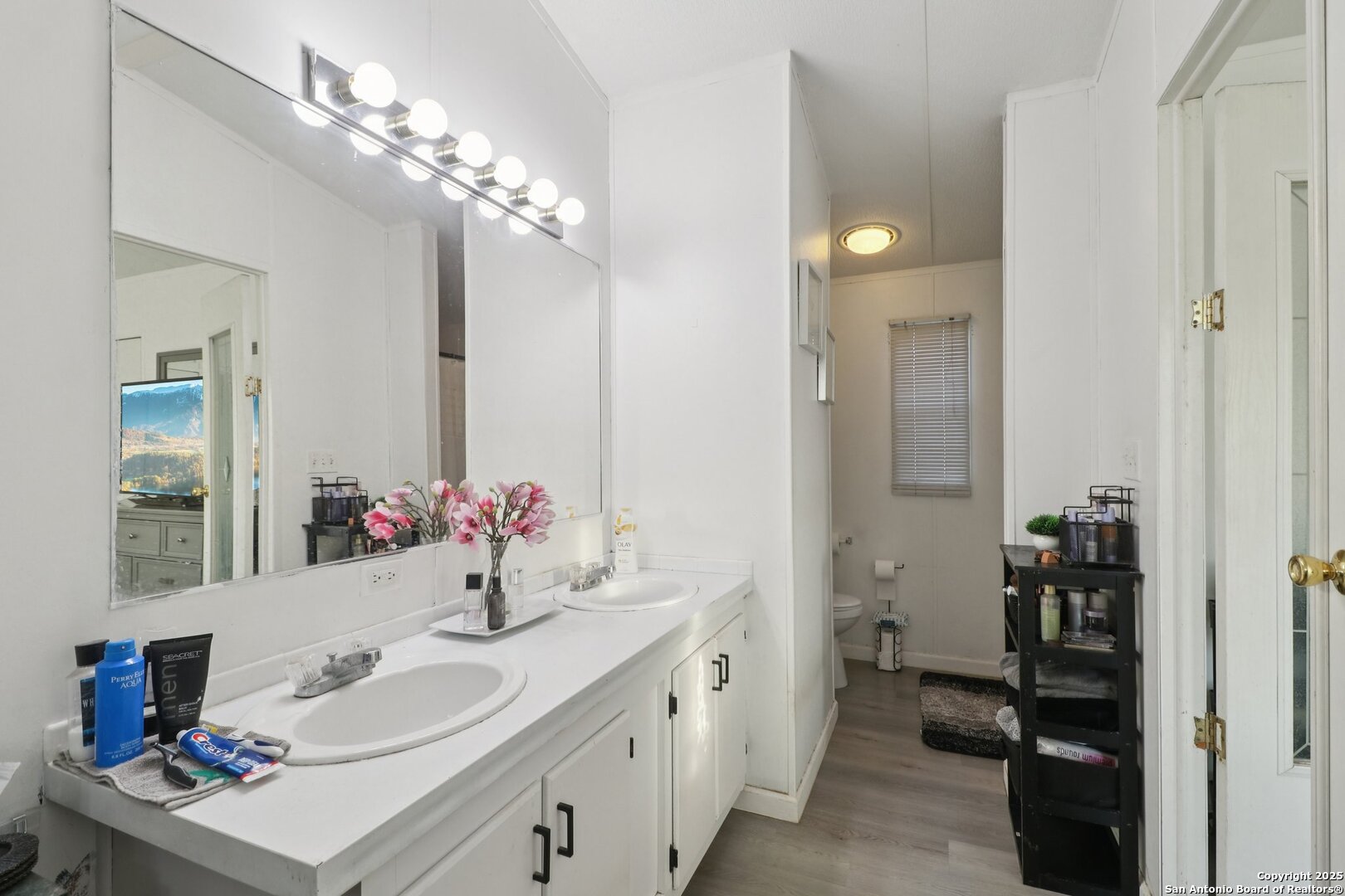 160 Deer View Pipe Creek TX 78063