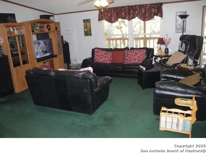 317 Swayze Road Utopia TX 78884