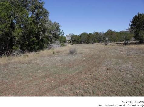 317 Swayze Road Utopia TX 78884