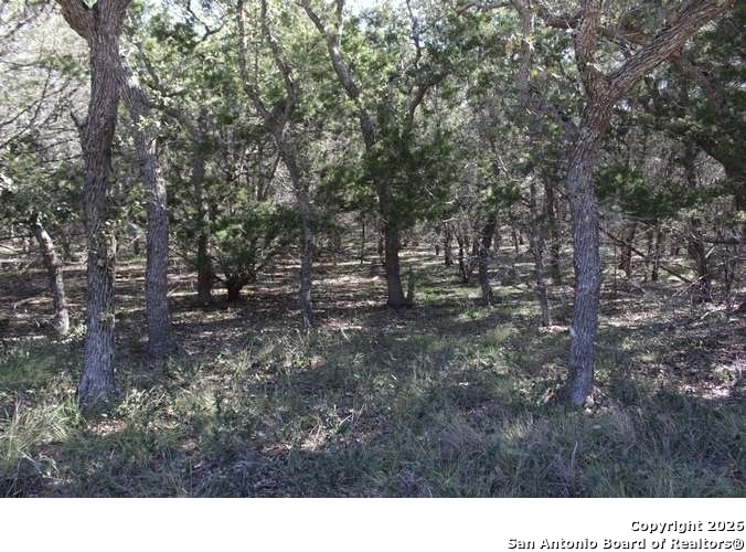 317 Swayze Road Utopia TX 78884