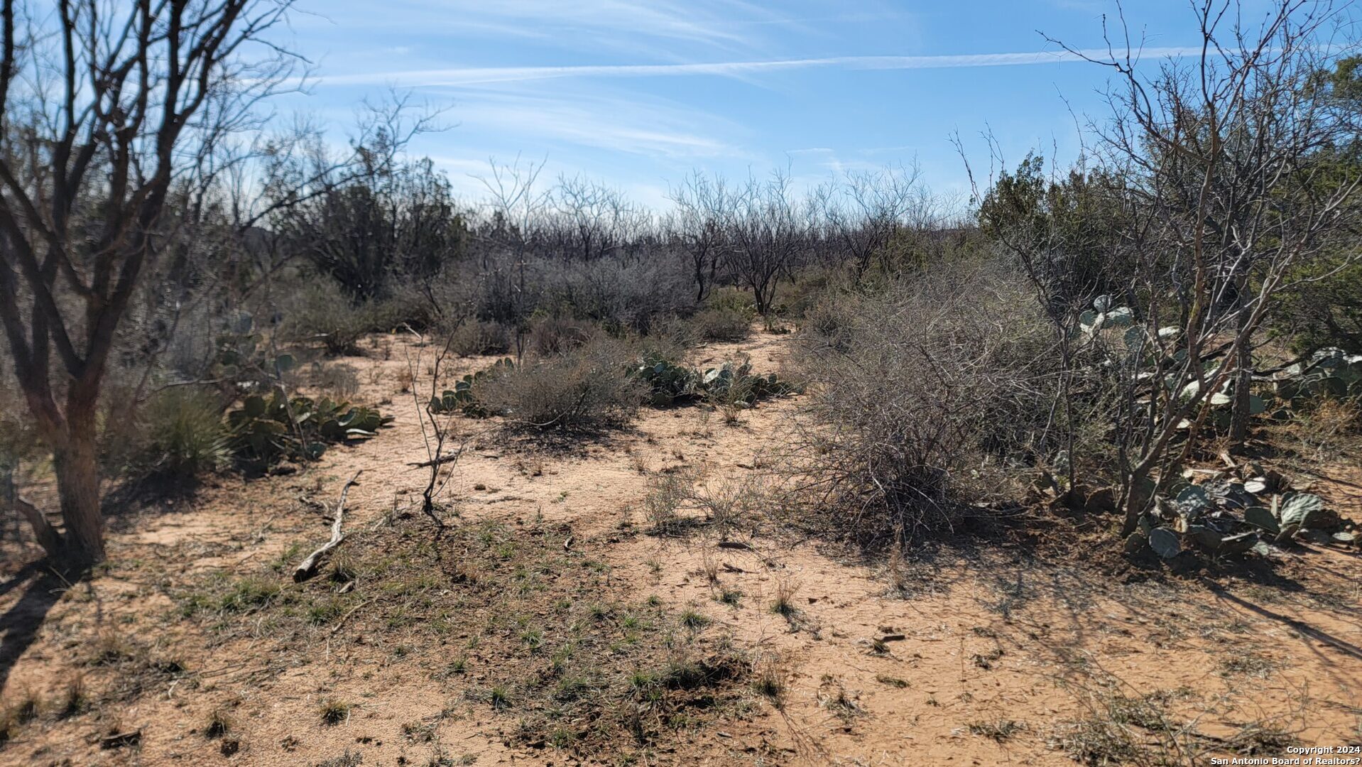 01 Warhorse Ranch Robert Lee TX 76945