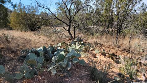 01 Warhorse Ranch Robert Lee TX 76945