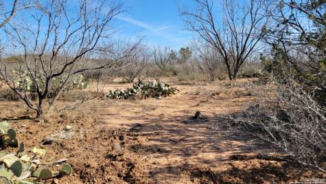 01 Warhorse Ranch Robert Lee TX 76945