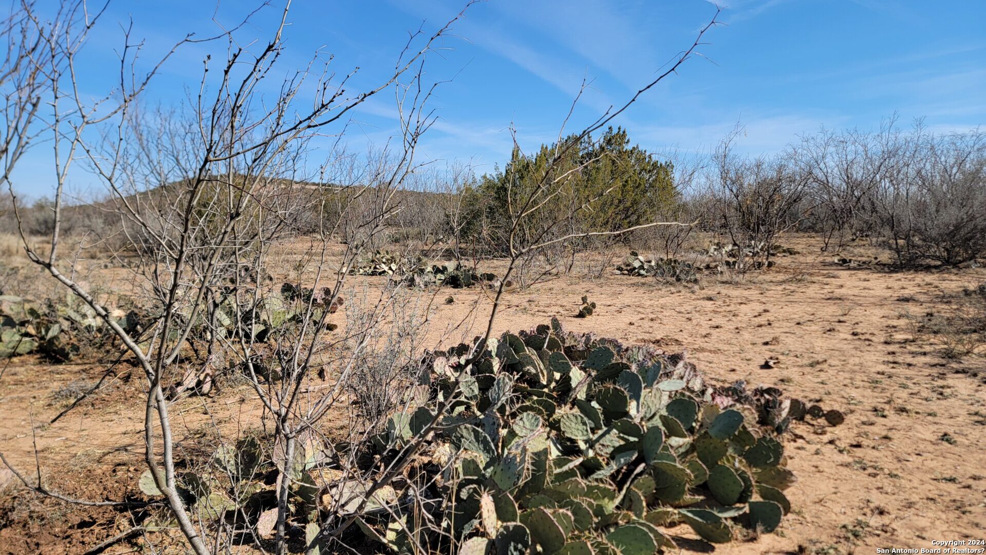 01 Warhorse Ranch Robert Lee TX 76945