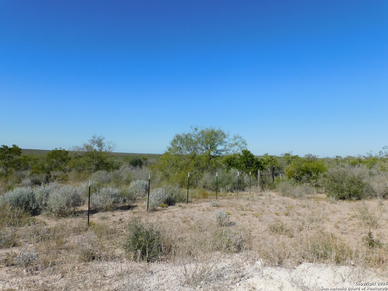 653 South Highway 59 George West TX 78022