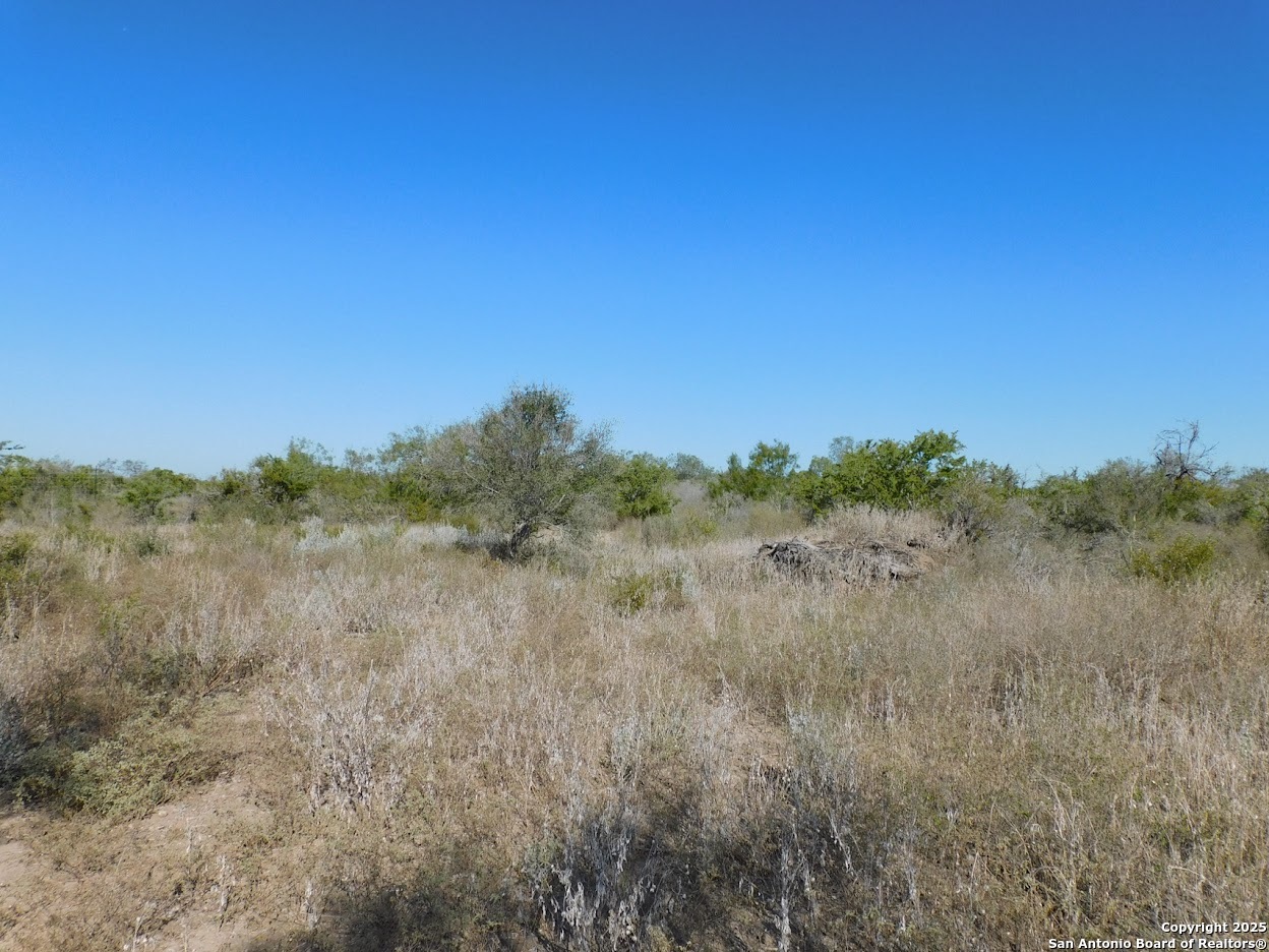653 South Highway 59 George West TX 78022