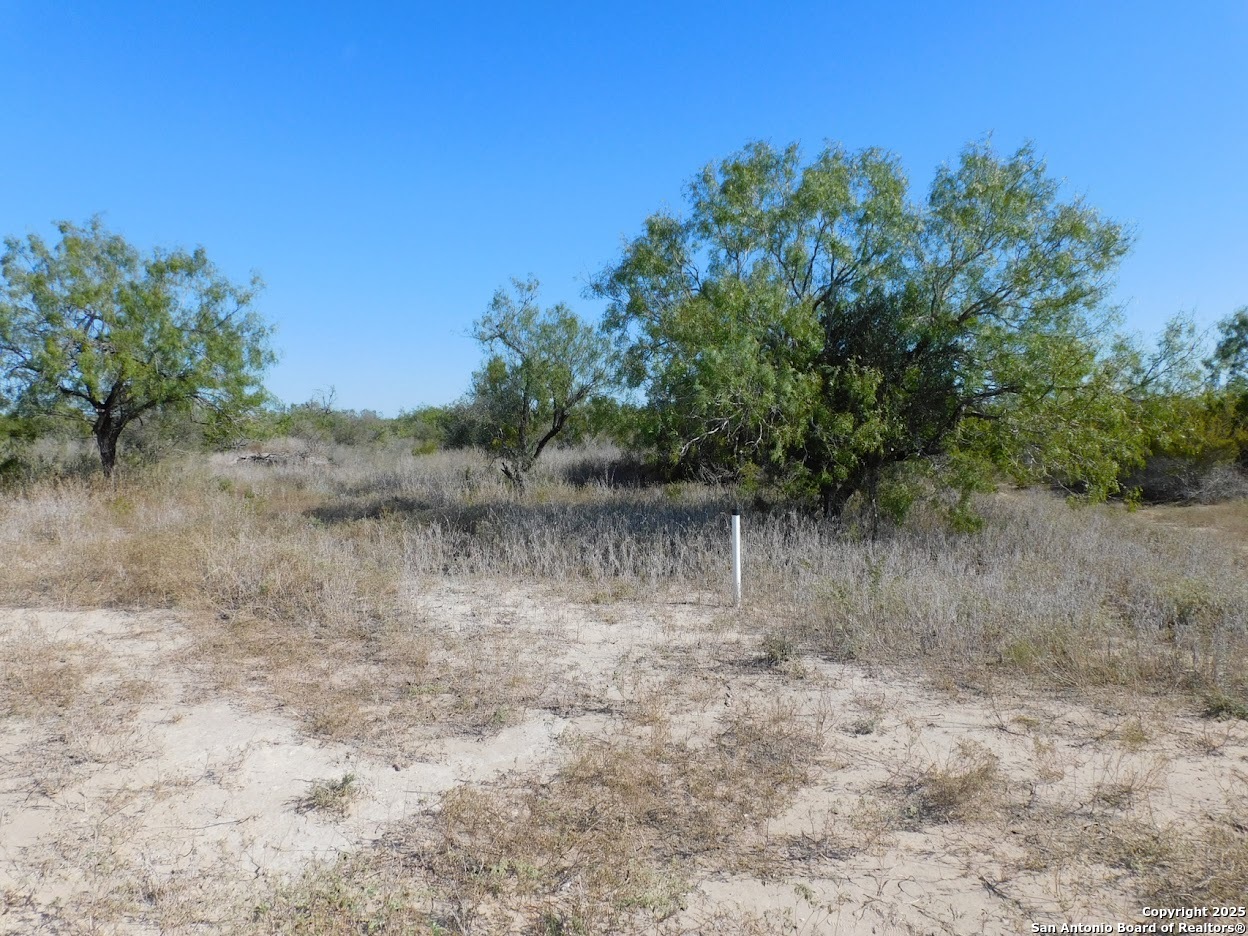 653 South Highway 59 George West TX 78022
