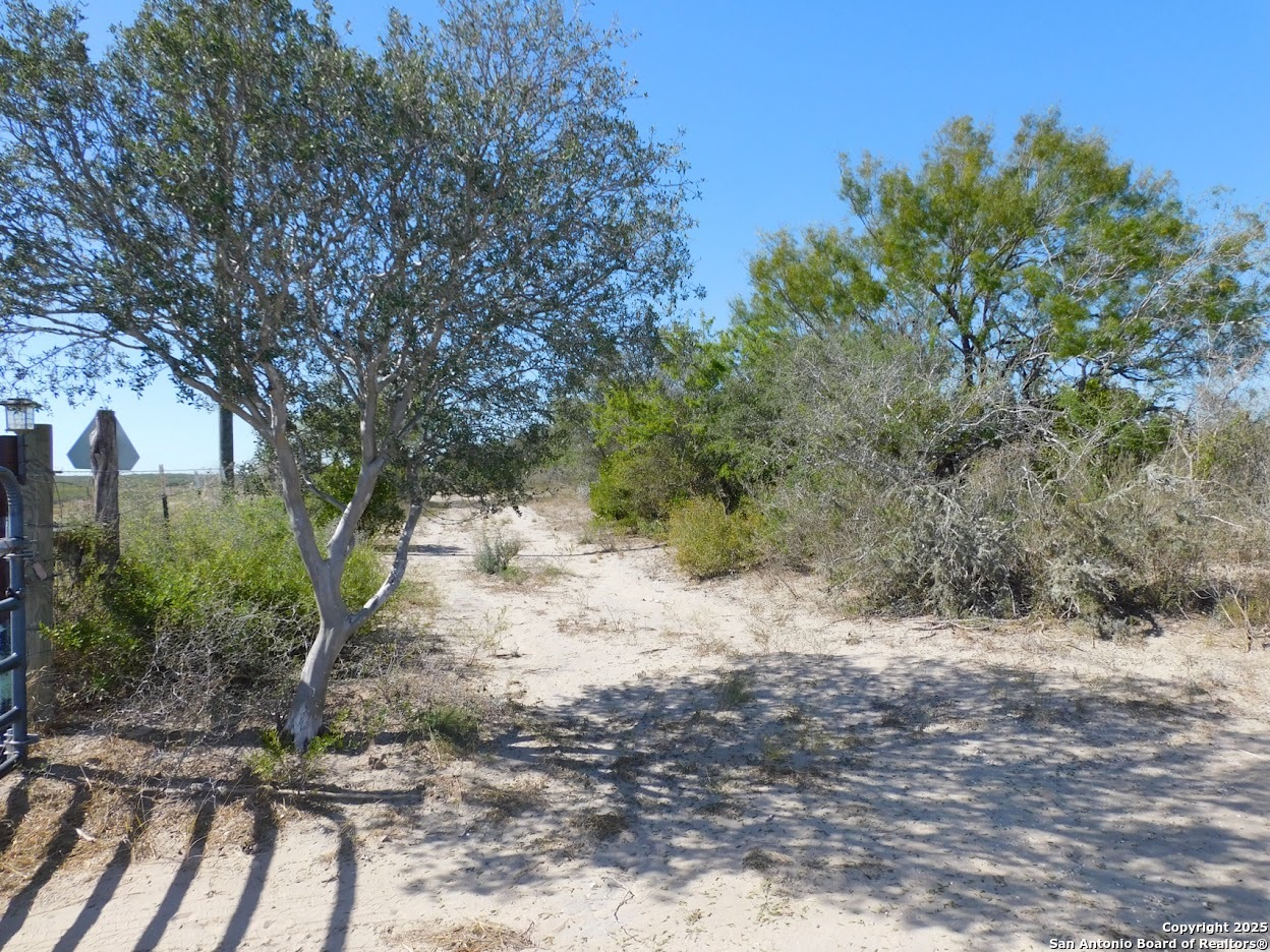 653 South Highway 59 George West TX 78022