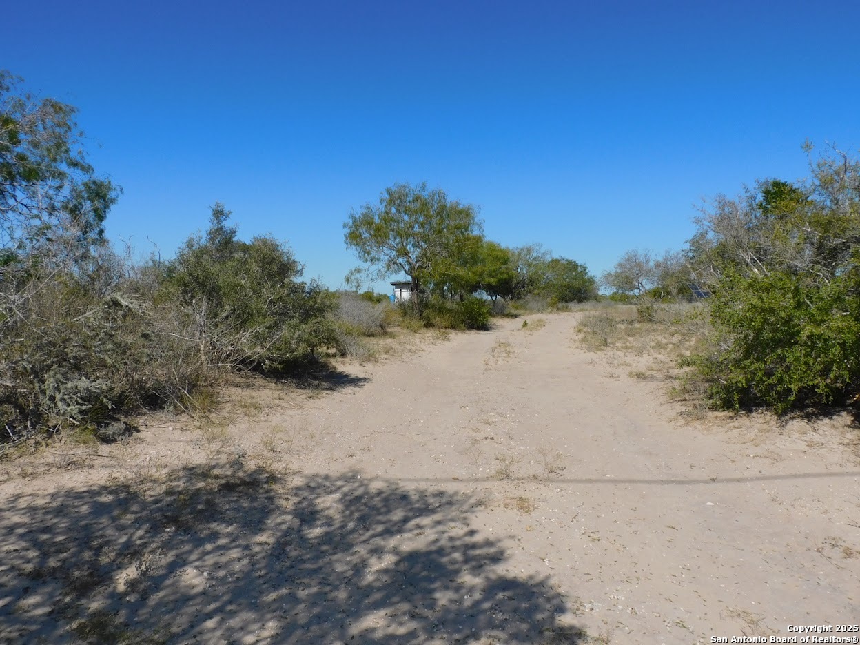 653 South Highway 59 George West TX 78022