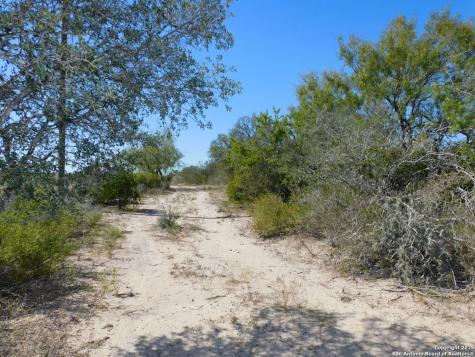 653 South Highway 59 George West TX 78022