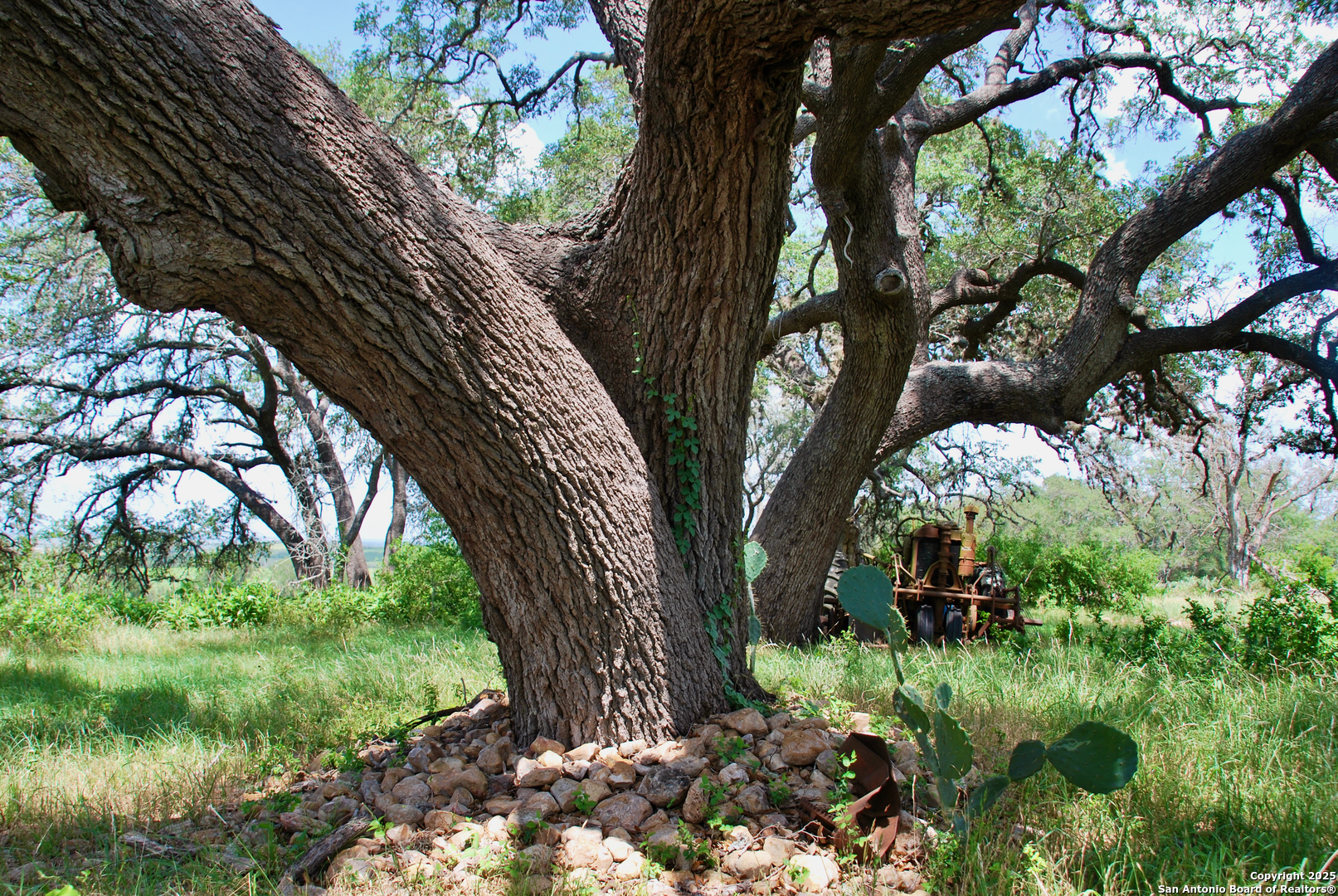 2725 Old Lehmann Seguin TX 78155