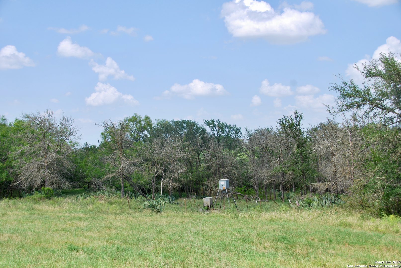 2725 Old Lehmann Seguin TX 78155