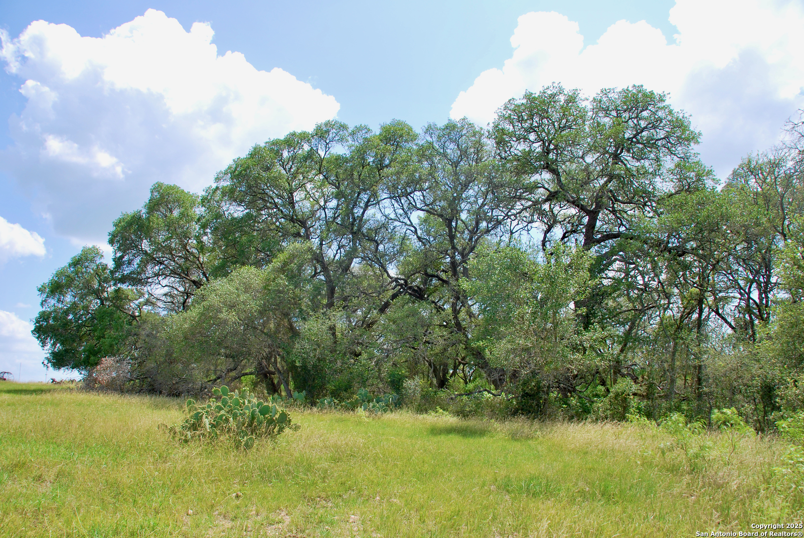 2725 Old Lehmann Seguin TX 78155