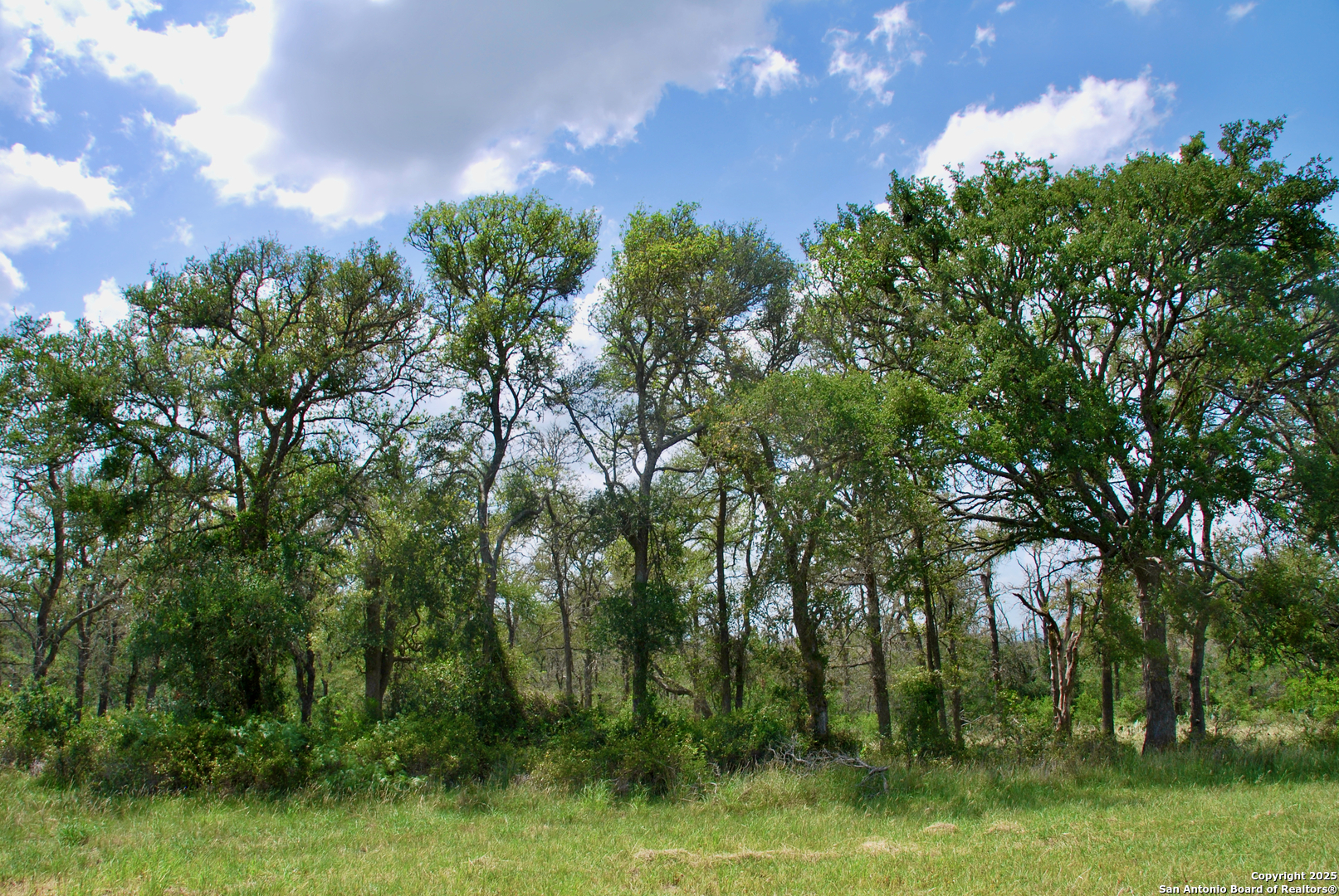 2725 Old Lehmann Seguin TX 78155